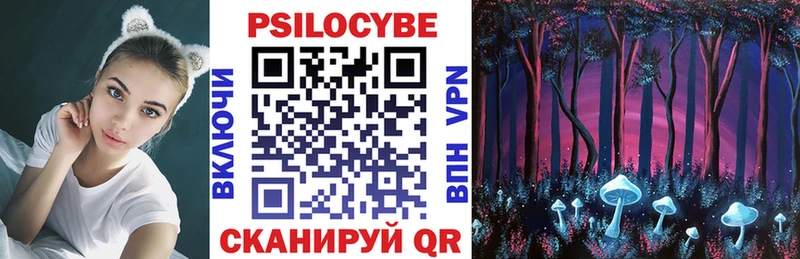 Псилоцибиновые грибы Cubensis omg как зайти Кириллов продажа наркотиков
